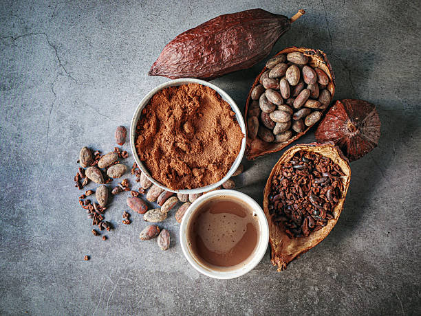 Cocoa Prices Fall as Favourable West African Weather Boosts Supply Outlook