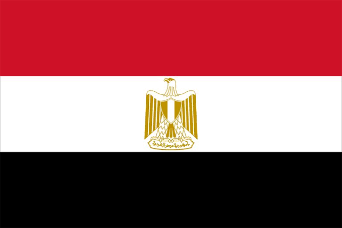 Egypt Calls for Sustainable Epidemic Financing