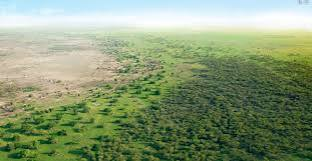 Africa Unites to Accelerate Great Green Wall Investment