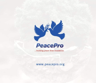 NGO Calls for “Speech to Action” Diplomacy as African Leaders Gather at UNGA