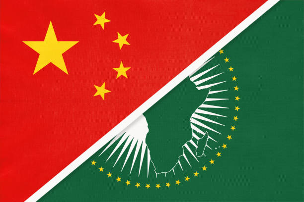 China and African Partners Push TVET Transformation with Digital Learning