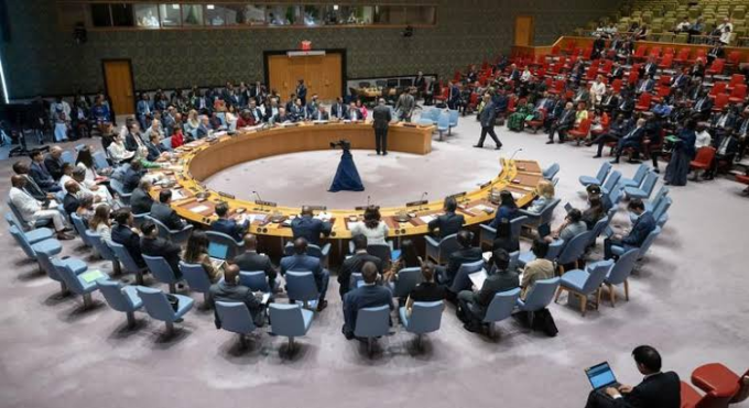 Finland Throws Weight Behind African Seats on UN Security Council